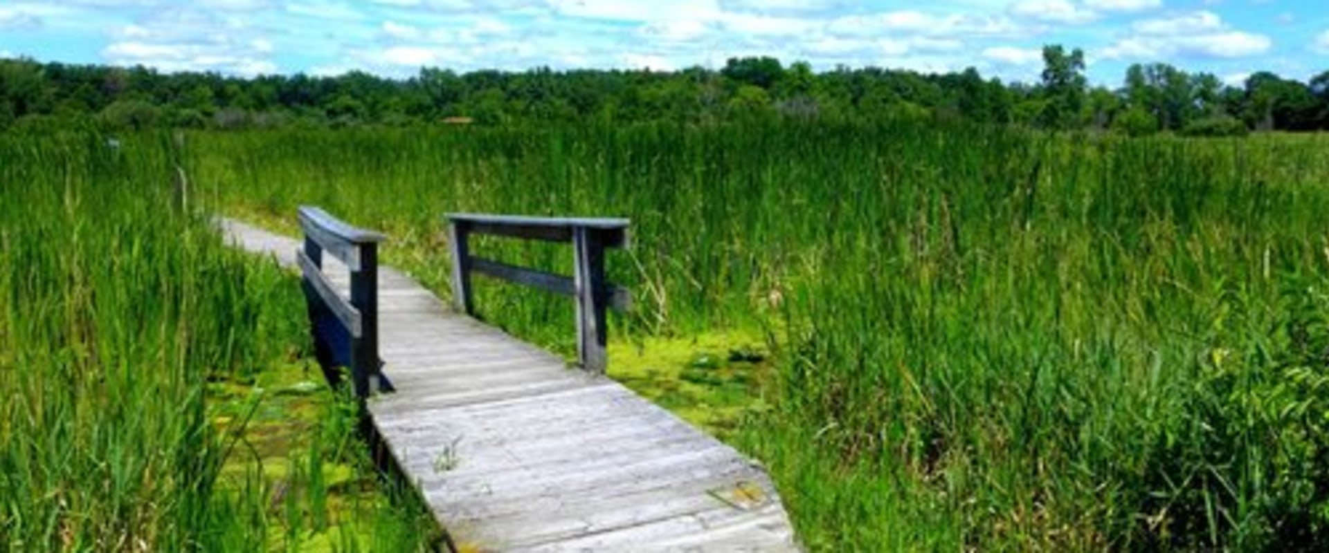 Exploring the Marathons of McHenry County, IL