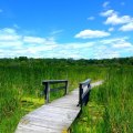 The Breathtaking Scenery of Marathons in McHenry County, IL