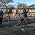 The Ultimate Guide to Marathons in McHenry County, IL