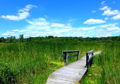 Discover the Best Marathons in McHenry County, IL