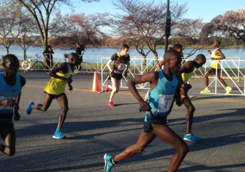 The Ultimate Guide to Marathons in McHenry County, IL